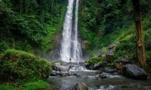 Air Terjun Gitgit Air Terjun Gitgit