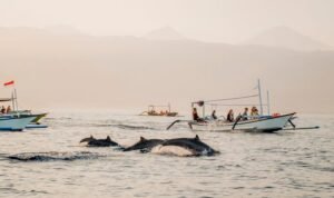 Lumba-Lumba Lumba Lumba