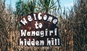 Wanagiri Hidden Hills Wanagiri Hidden Hills